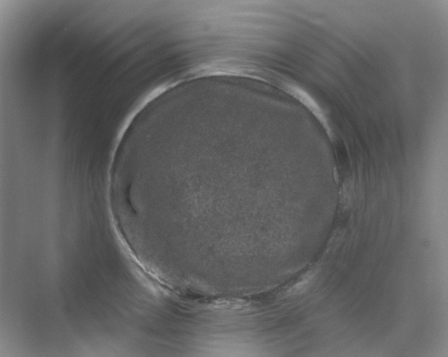 X0000075921146200609291818