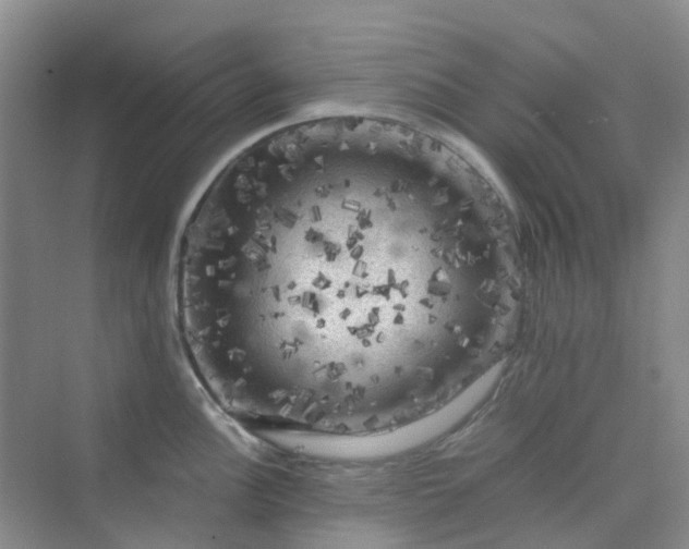 X0000075921148200609291818