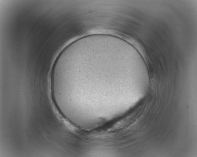 X0000075921150200609291818