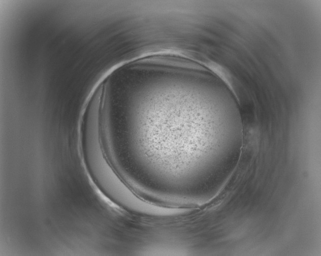 X0000075921151200609291818