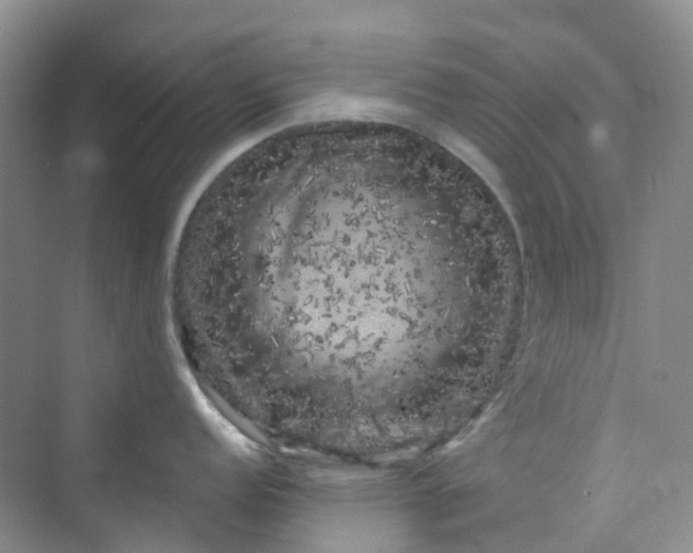 X0000075921152200609291818