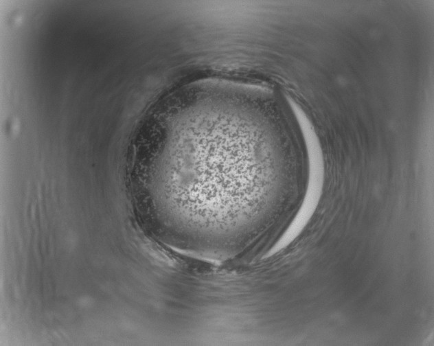 X0000075921153200609291817