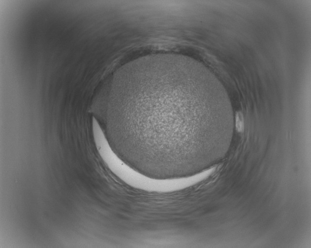 X0000075921155200609291817