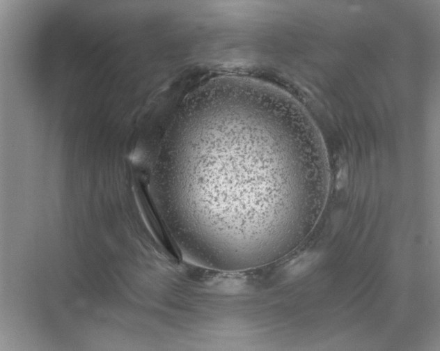 X0000075921156200609291817