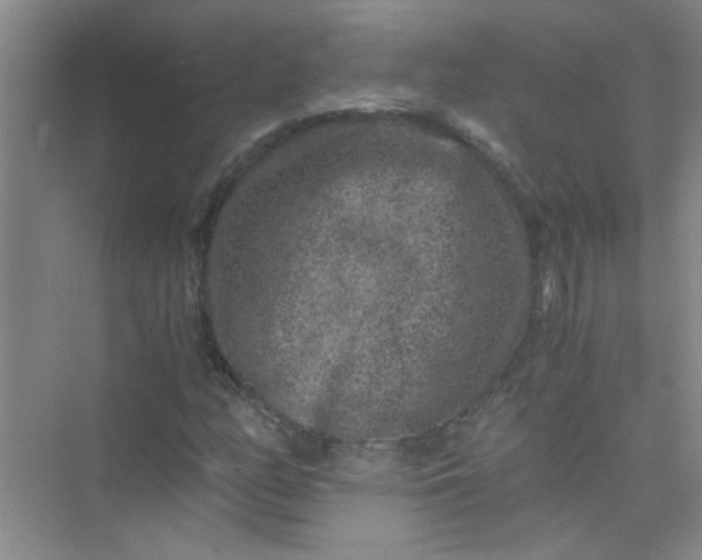 X0000075921158200609291817