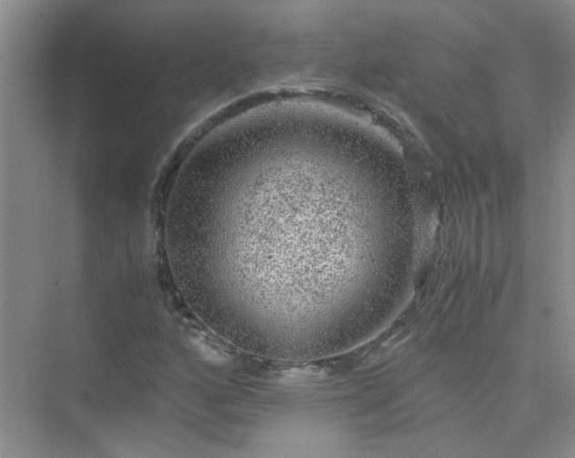 X0000075921160200609291817