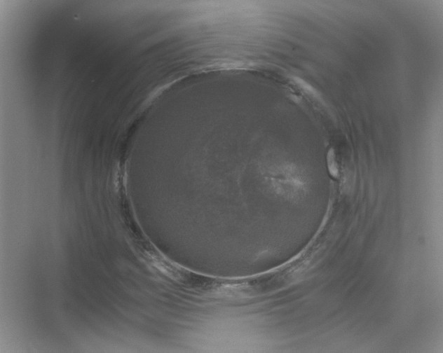 X0000075921161200609291817