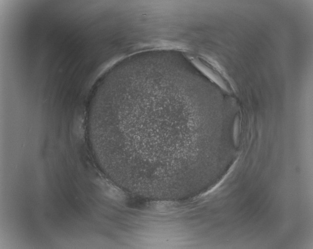 X0000075921163200609291817