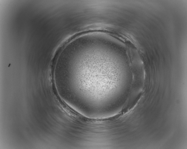 X0000075921164200609291817