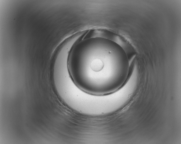 X0000075921165200609291817