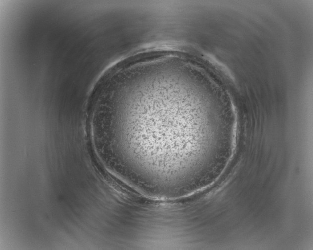 X0000075921166200609291817