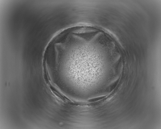 X0000075921168200609291817