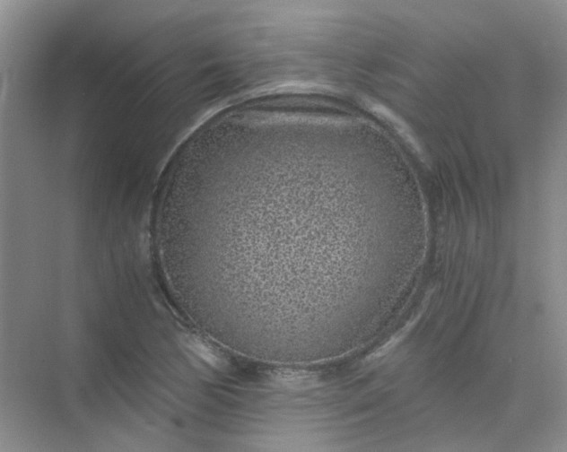 X0000075921170200609291817