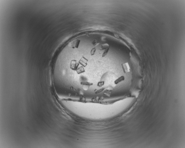 X0000075921171200609291817