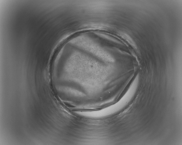 X0000075921172200609291817