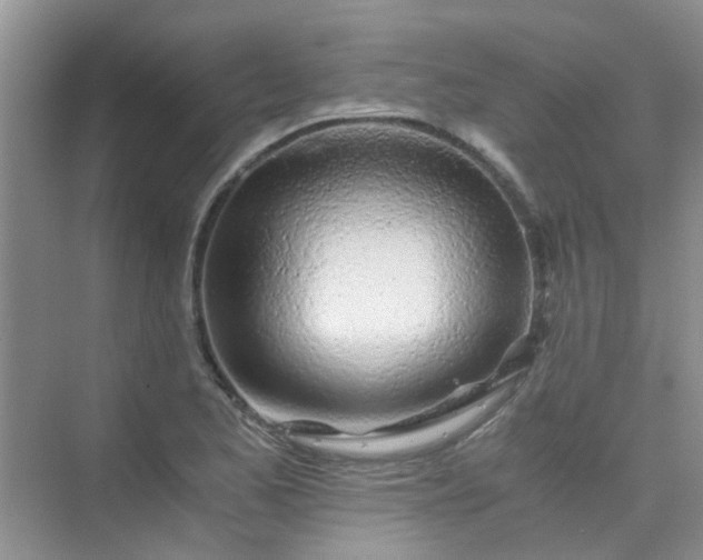 X0000075921173200609291817