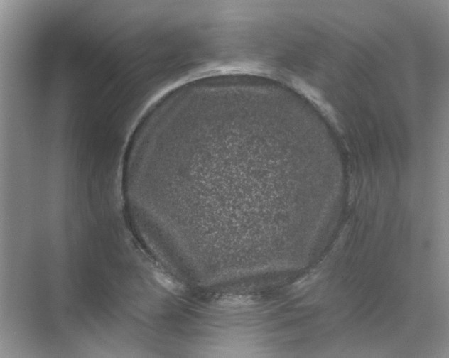 X0000075921174200609291817