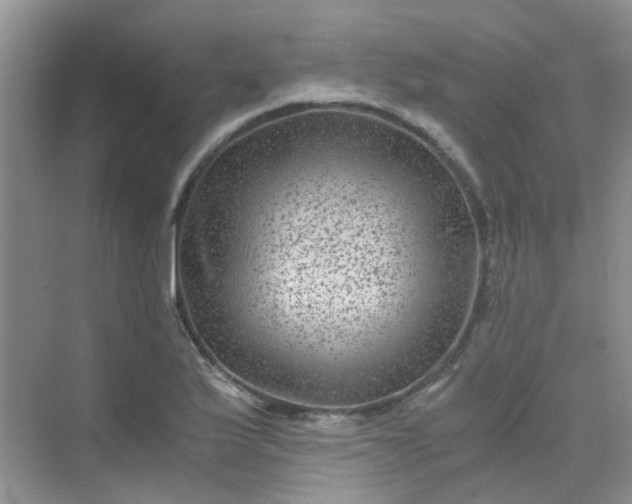 X0000075921175200609291817