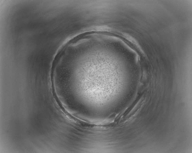 X0000075921176200609291817