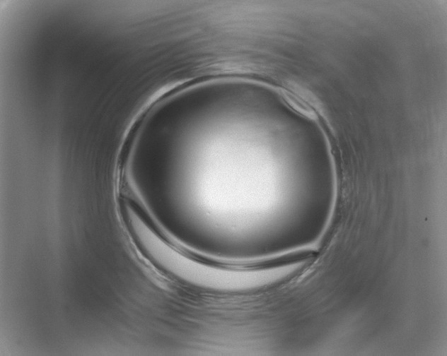 X0000075921179200609291816