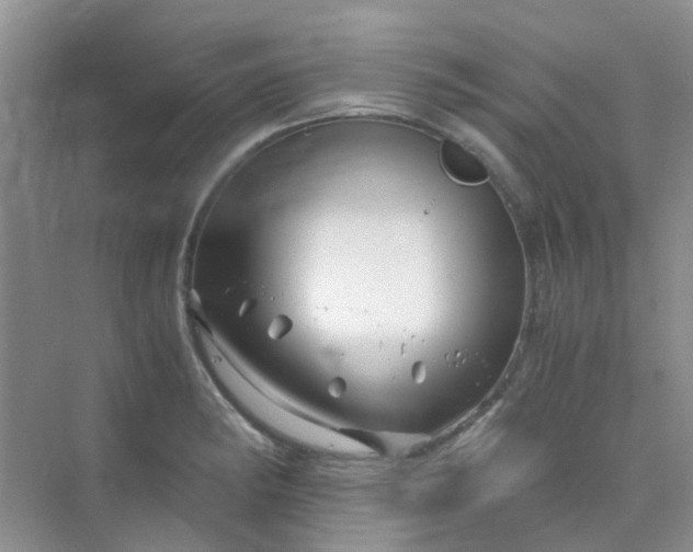 X0000075921182200609291816