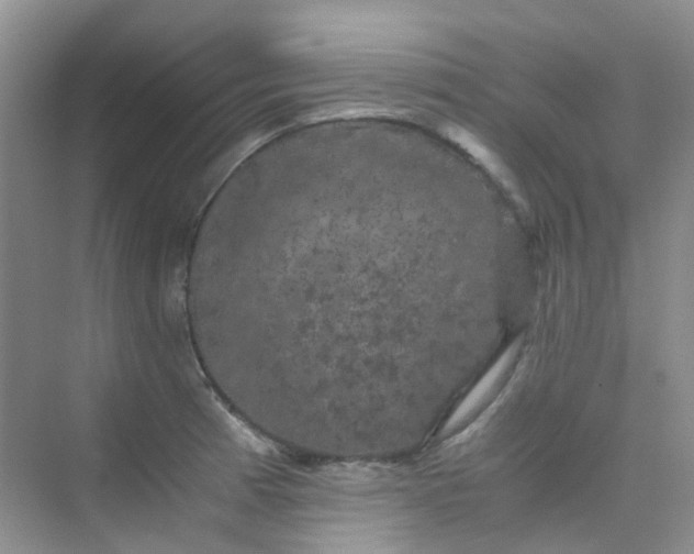 X0000075921185200609291816