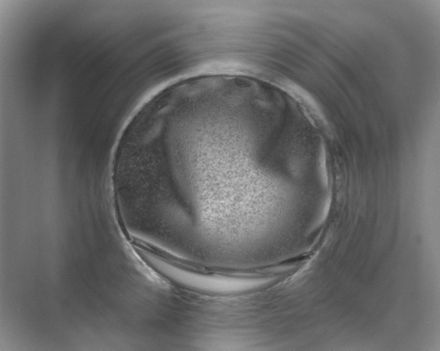 X0000075921192200609291816