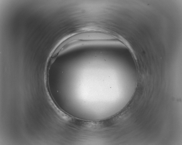 X0000075921195200609291816