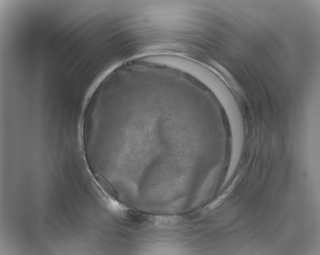 X0000075921196200609291816