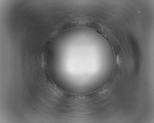X0000075921203200609291815