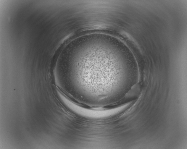 X0000075921210200609291815