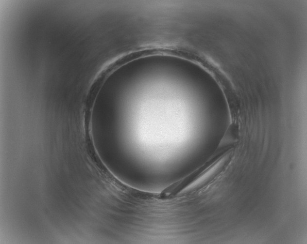 X0000075921214200609291816