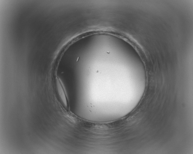 X0000075921215200609291816