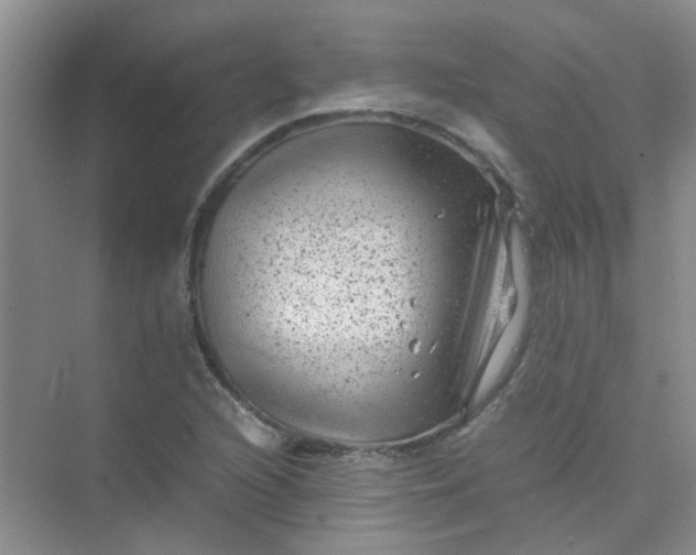 X0000075921216200609291816