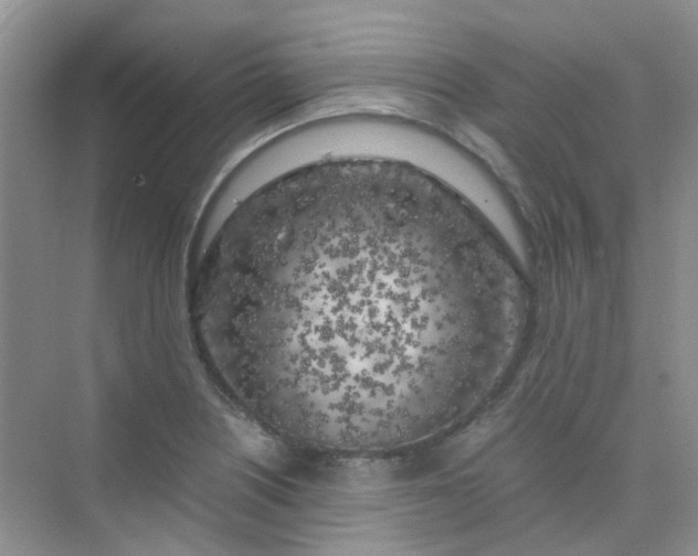 X0000075921226200609291816