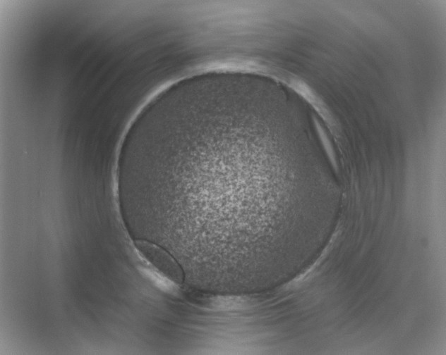 X0000075921232200609291816