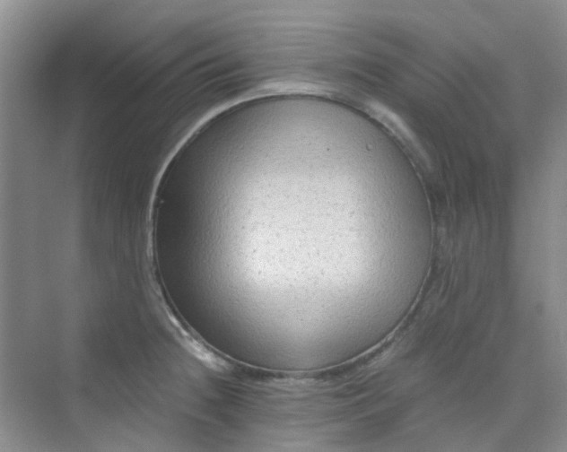 X0000075921236200609291816