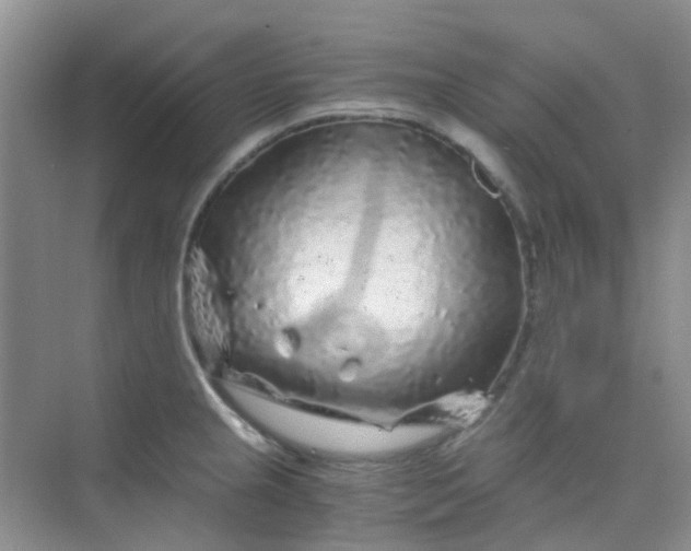 X0000075921237200609291816