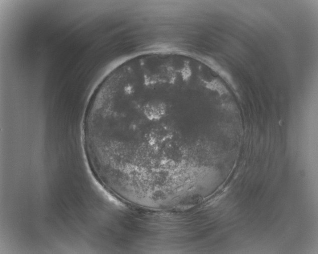 X0000075921239200609291816