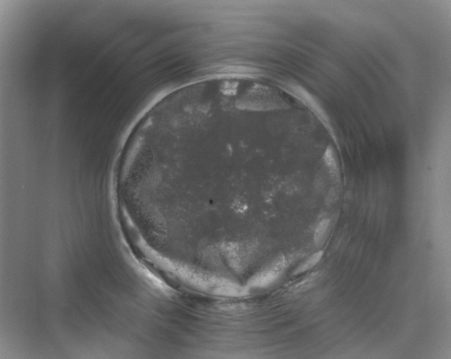 X0000075921243200609291816