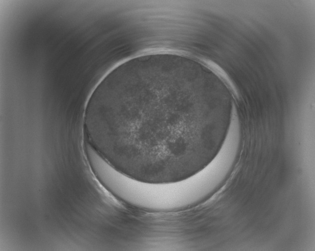 X0000075921244200609291816