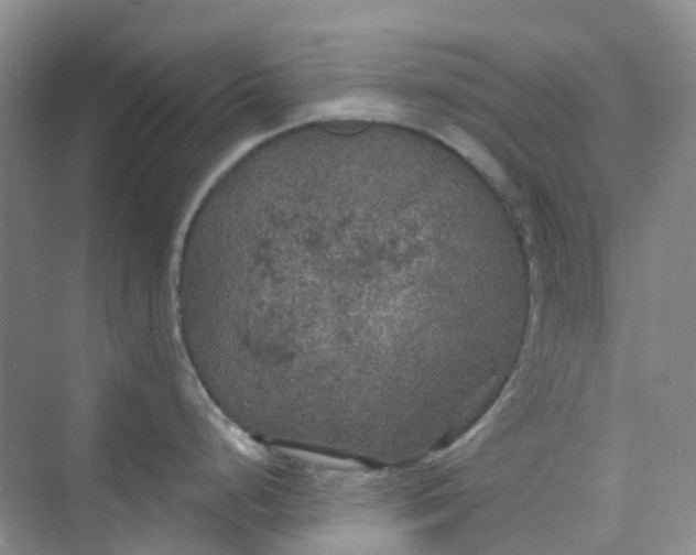 X0000075921248200609291816