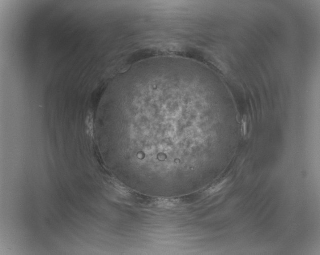 X0000075921251200609291815