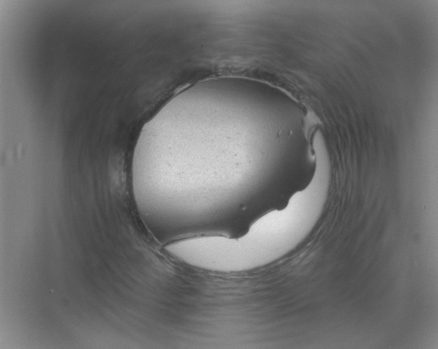 X0000075921252200609291815