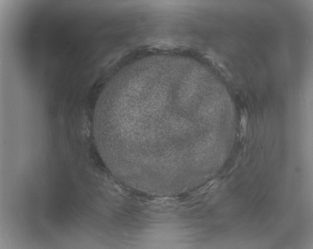 X0000075921253200609291815