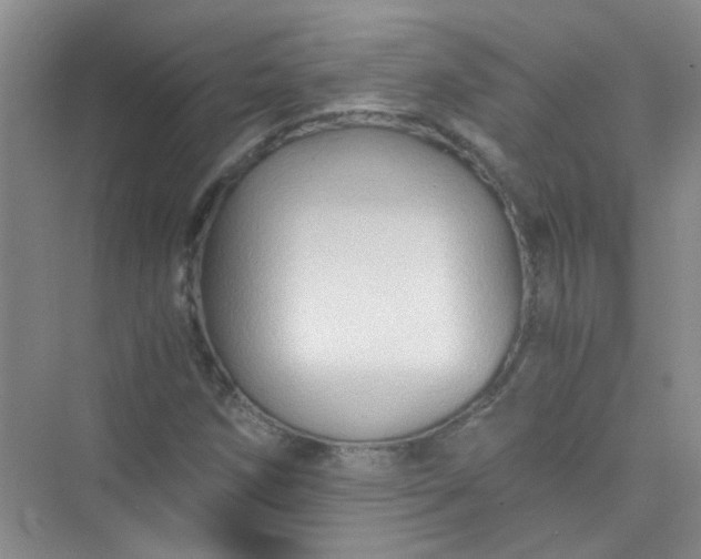 X0000075921258200609291815