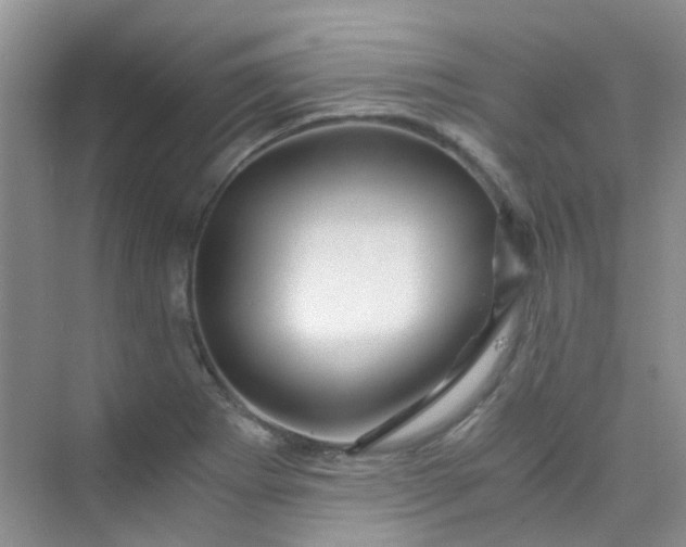 X0000075921273200609291815