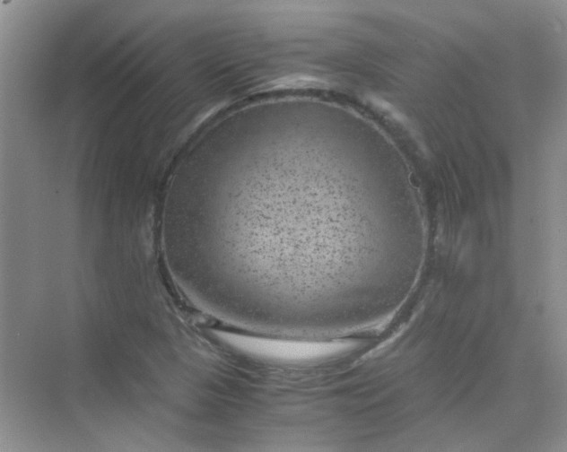 X0000075921313200609291814