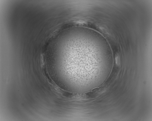 X0000075921347200609291814