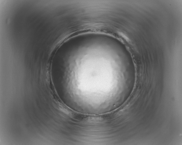 X0000075921354200609291813